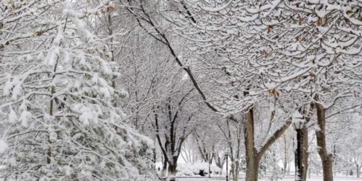 Azərbaycana qış gəlib