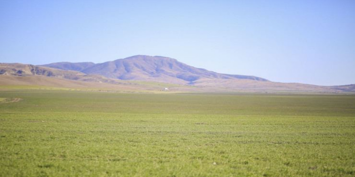 Qadağa və məhdudiyyətlər qoyulmuş torpaqlar sistemdə görünəcək