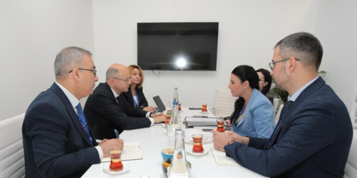 Azerbaijan, Albania discuss energy cooperation