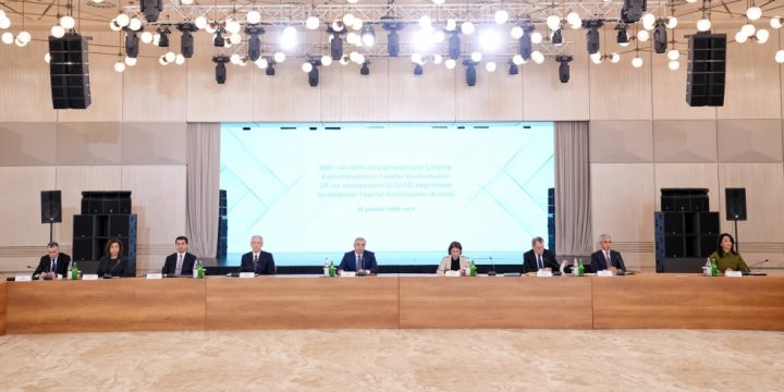 COP29 ilə əlaqədar Təşkilat Komitəsinin ilk iclası keçirilib