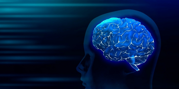 Tədqiqat: ikinci dilin öyrənilməsi beyində əlaqələri dəyişdirir