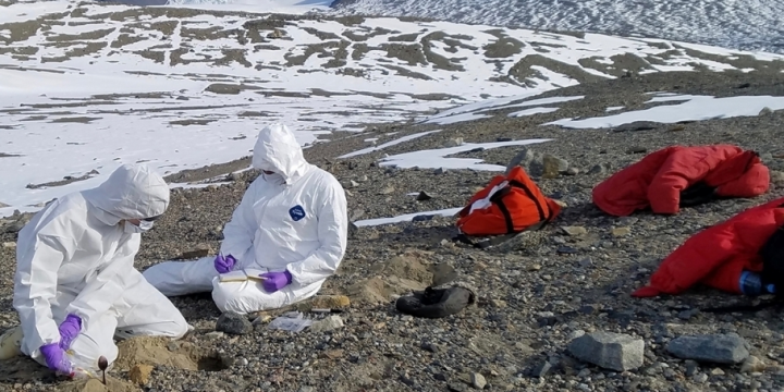 Arctic zombie viruses in Siberia could spark terrifying new pandemic, scientists warn