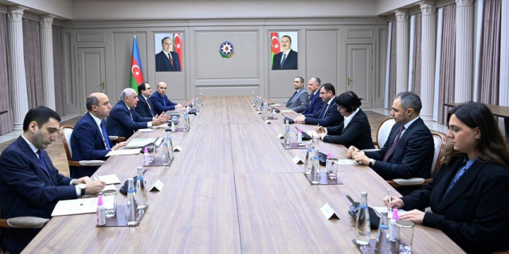 Əli Əsədov Gürcüstanın təhsil, elm və gənclər naziri ilə görüşüb