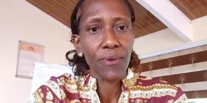 Kenyan expert: Exploitation of Amuldagh gold deposit is causing serious environmental damage to Caspian countries