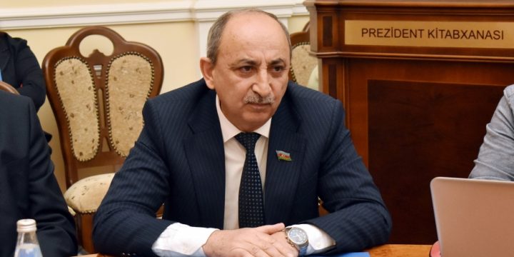 Əziz Ələkbərli: Tariximizin sübut olunması milli məsələdir
