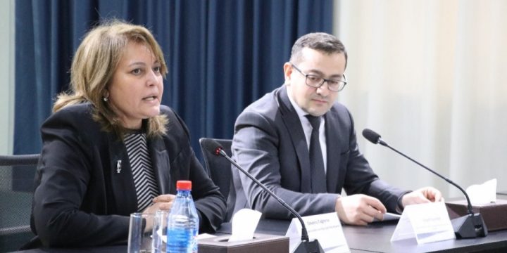 “Ekoloji məsələlər” İşçi qrupu 2023-cü ilin yekun hesabatını müzakirə edib