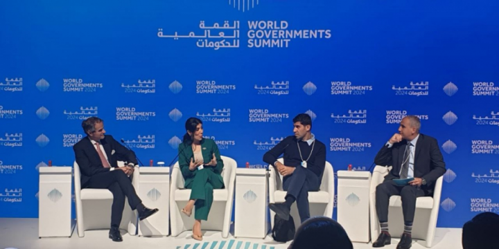 World Governments Summit voices expectations from COP29