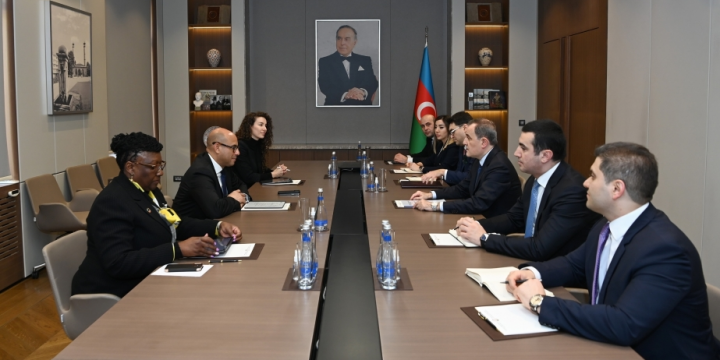 Azerbaijani FM, Executive Secretary of UNFCCC discuss preparations for COP29