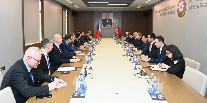 Ceyhun Bayramov Çexiya Deputatlar Palatasının sədri ilə görüşüb