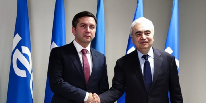 Azerbaijan’s Deputy FM, IEA Executive Director discuss potential cooperation within framework of COP29