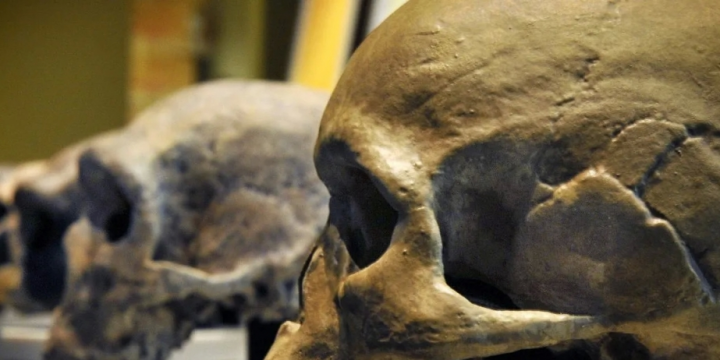 Almaniyadakı son arxeoloji kəşf Homo sapiensin tarixini yenidən yazır