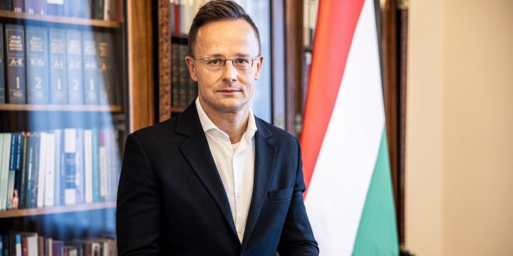 Macarıstan XİN: Avropalı liderlər Prezident İlham Əliyevlə şəkil çəkdirmək üçün fürsət axtarırlar