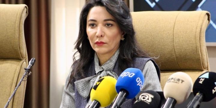 Ombudsman Aparatı Naxçıvanda ilk dəfə seçki prosesini müşahidə edəcək