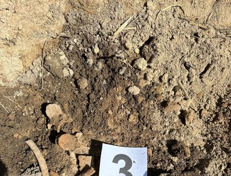 Xocalıda 3 şəxsə məxsus insan qalıqları aşkarlanıb