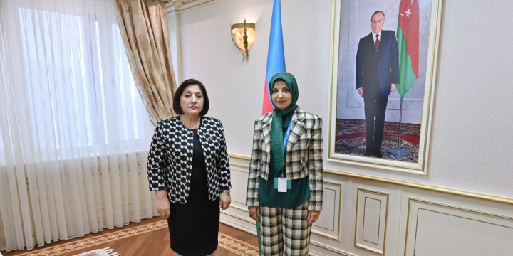 Sahibə Qafarova UNİCEF-in Azərbaycandakı nümayəndəliyinin rəhbərini qəbul edib
