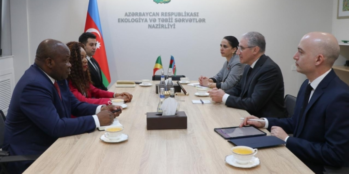 Azerbaijan, Congo discuss COP29 preparations