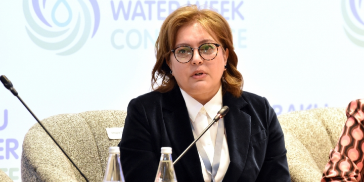 Azerbaijan to address water scarcity challenge with COP29 participating states, says Deputy Ecology Minister