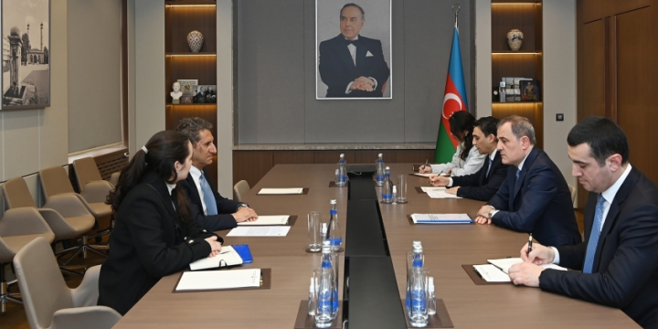 Azerbaijan, IRENA explore collaboration opportunities for COP29