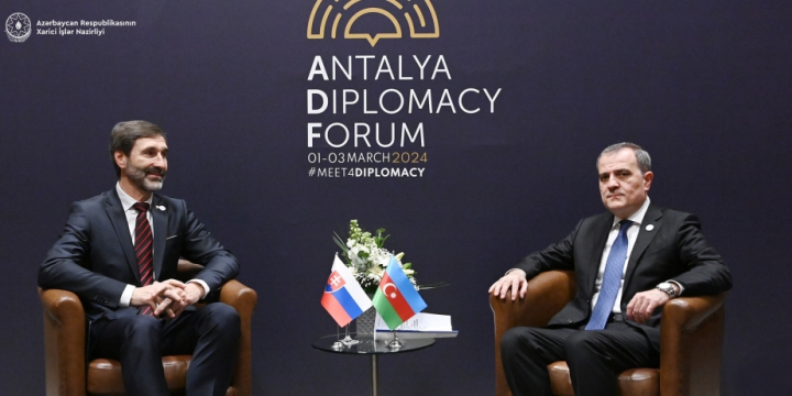 Azerbaijani FM meets with his Slovak counterpart in Antalya