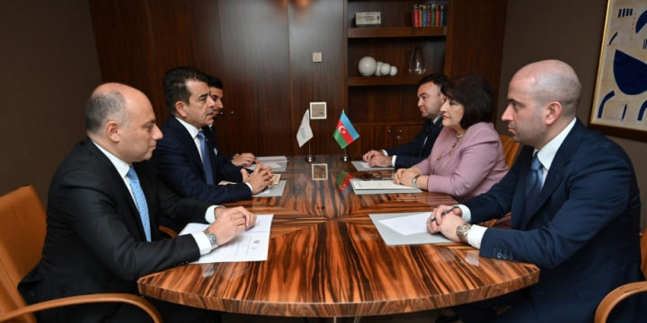 Milli Məclisin sədri ICESCO-nun Baş direktoru ilə görüşüb