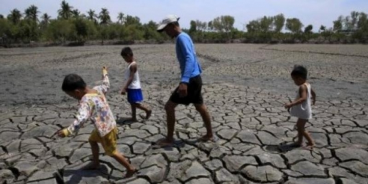 Zambia declares state of disaster due to drought