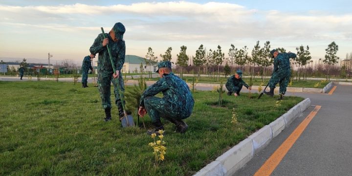 “Yaşıl dünya naminə həmrəylik ili” çərçivəsində ağacəkmə aksiyaları keçirilib
