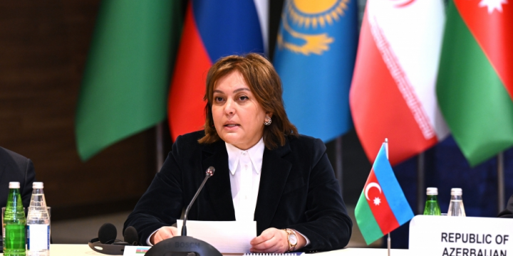 Umayra Tağıyeva: COP29-da Xəzər dənizi ilə bağlı təşəbbüs də yer alacaq