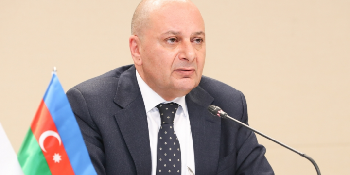 ANAMA-nın rəhbəri: Azərbaycanda mina qurbanlarının ümumi sayı 3 429 nəfərdir