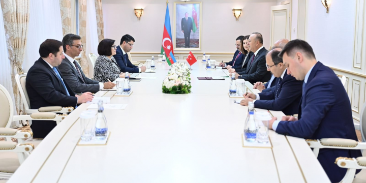Sahibə Qafarova Mövlud Çavuşoğlunun başçılıq etdiyi nümayəndə heyəti ilə görüşüb