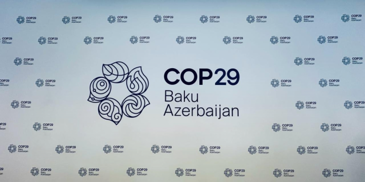 Azerbaijan unveils COP29 logo