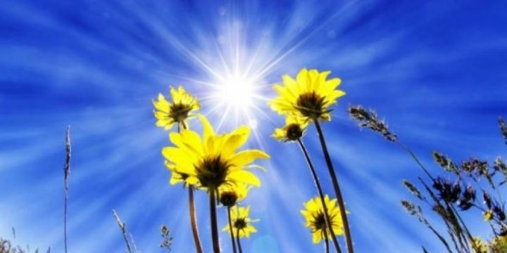 Sabah ölkə ərazisində hava şəraiti əsasən yağmursuz keçəcək