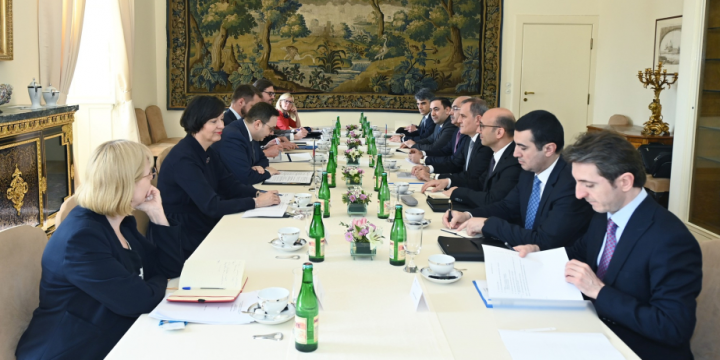 Azerbaijani FM informs Czech counterpart about Azerbaijan-Armenia normalization process