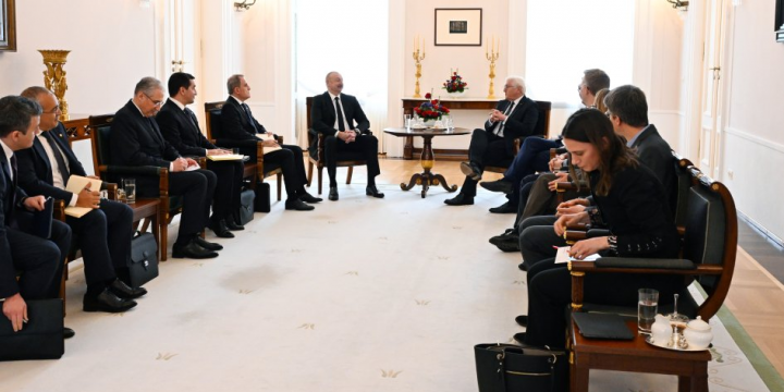 President of Azerbaijan Ilham Aliyev held expanded meeting with President of Germany Frank-Walter Steinmeier 
