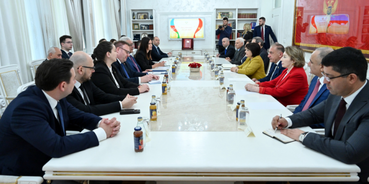 Azerbaijan, Montenegro discuss interparliamentary cooperation