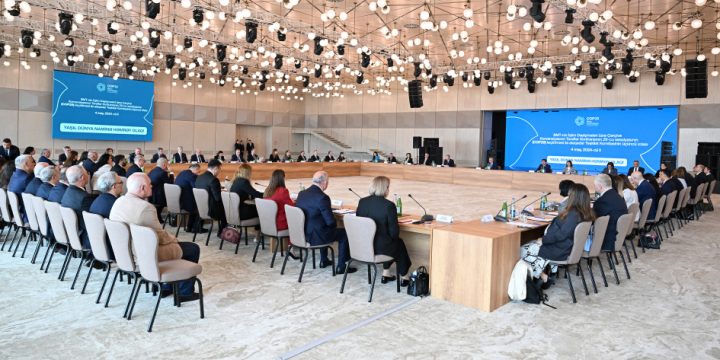 COP29 ilə əlaqədar Təşkilat Komitəsinin üçüncü iclasında mühüm məsələlər müzakirə olunub