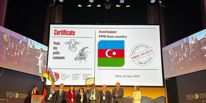 Parisdə keçirilən beynəlxalq tədbirdə Azərbaycan xüsusi sertifikata layiq görülüb