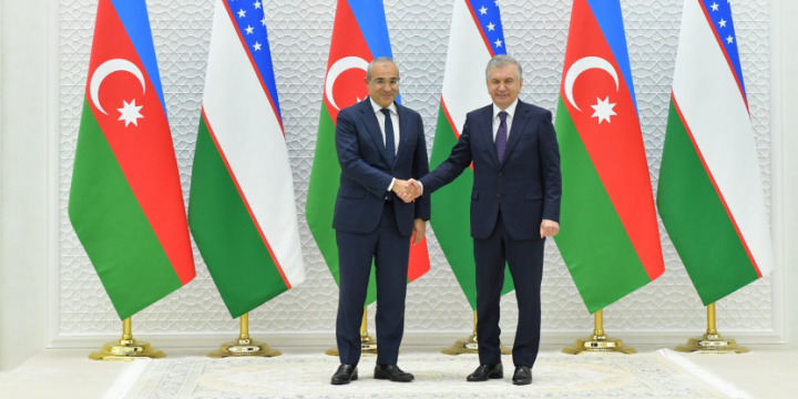 President of Uzbekistan receives Azerbaijani delegation