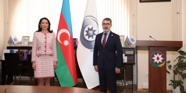 Azerbaijan, Turkiye discuss cooperation in protection of human rights