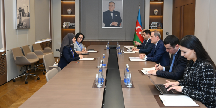 Azerbaijani FM briefs AIPA Secretary General about COP29 preparation process