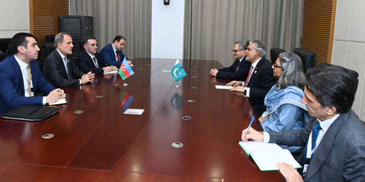 Azerbaijani FM meets with his Pakistani counterpart in Gambia