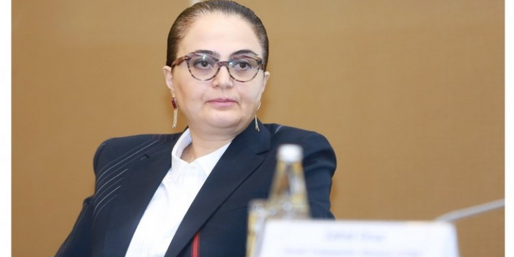 Səadət Yusifova: 163 abidənin inventarlaşdırılması həyata keçirilə bilmir