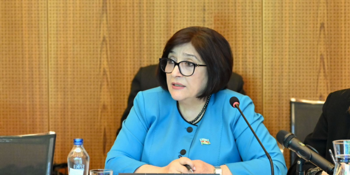 Speaker of Azerbaijan’s Milli Majlis highlights challenges in ensuring gender quality at Geneva conference