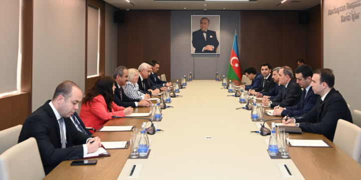 Azerbaijani FM meets with GNAT Committee chair