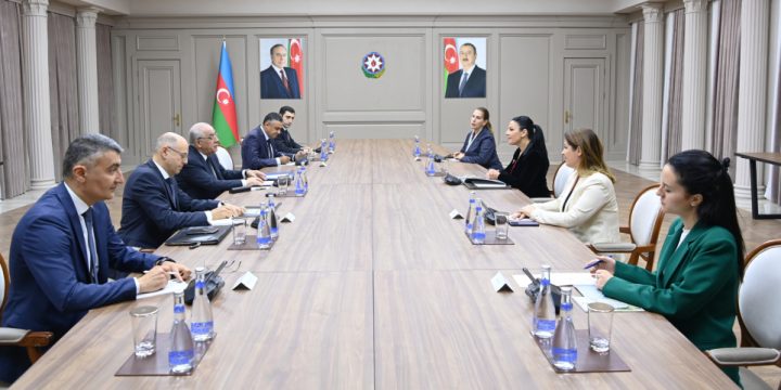 Baş nazir Əli Əsədov Albaniyanın Baş nazirinin müavini ilə görüşüb