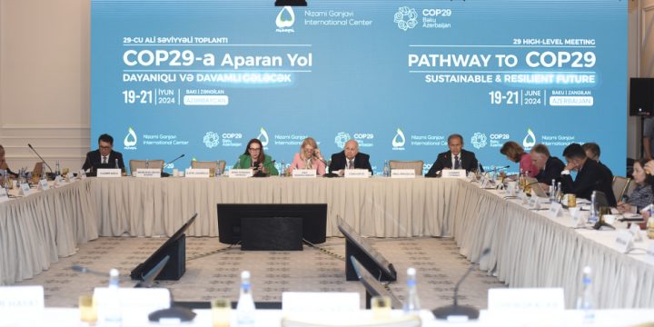 “COP29-a Aparan Yol: Dayanıqlı və Davamlı Gələcək” mövzusunda Yüksək Səviyyəli 29-cu Toplantının ikinci günü yekunlaşıb