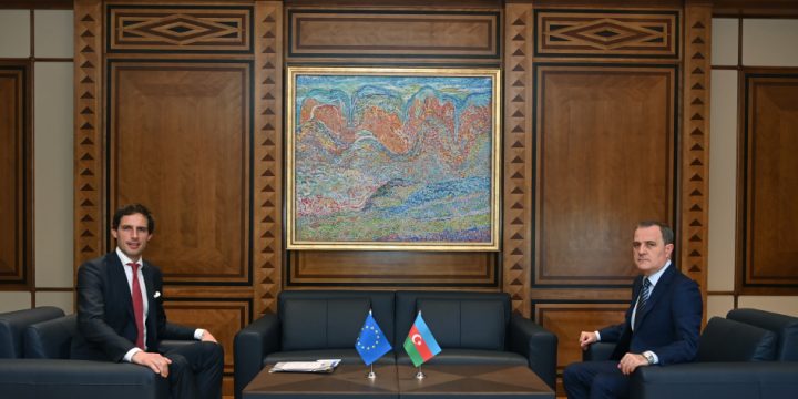 Discussions held on cooperation in implementing Azerbaijan’s initiatives in addressing climate change