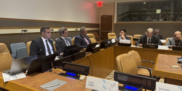 Baku Initiative Group holds international conference on colonialism in New York