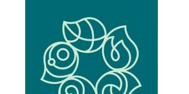 Last call to register for COP29 Azerbaijan Presidency’s Volunteer Programme