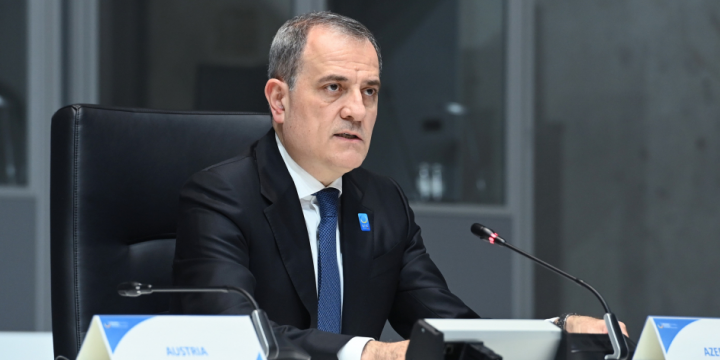 Azerbaijan’s Foreign Minister attends Ukraine Recovery Conference