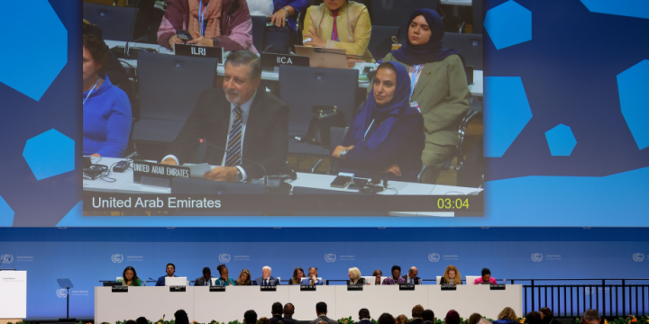 COP28 nümayəndələri: COP29-da adekvat, əlverişli və əlçatan dəstəyi səfərbər edən yeni maliyyə hədəfi yaradılacaq